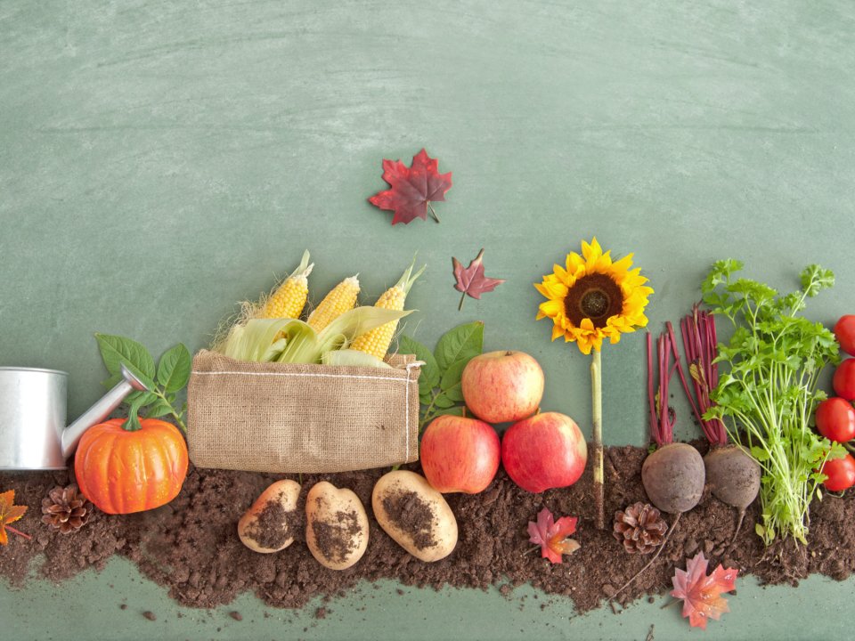 Zakaj izbrati lokalno pridelano sadje in zelenjavo v Slovenski Istri?