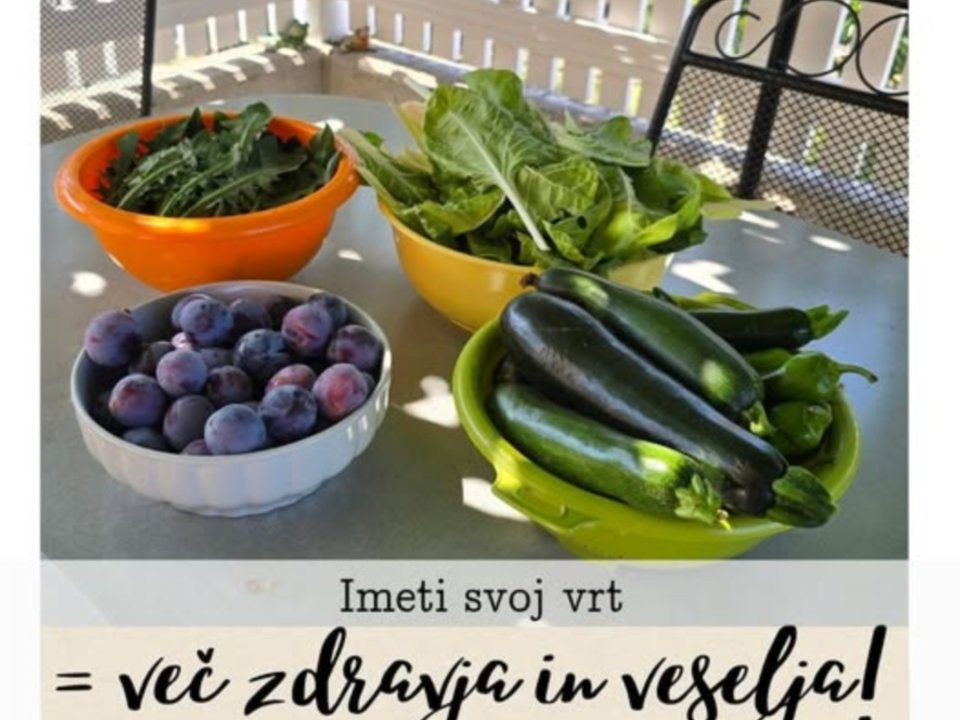 Imeti svo vrt = več zdravja in veselja