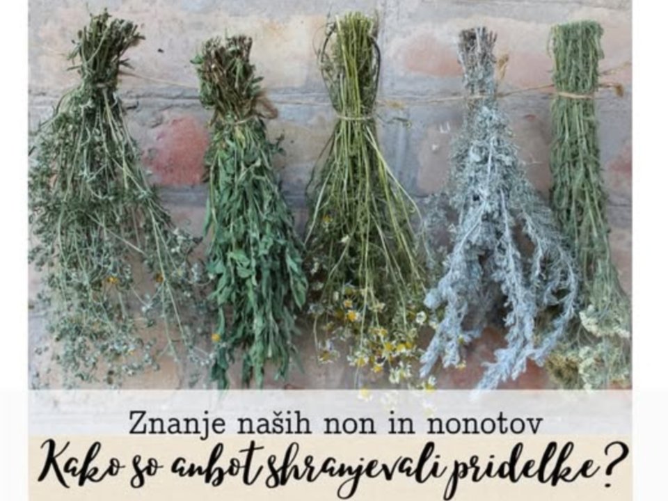 Znanje na&scaron;ih non in nonotov - Kako so anbot shranjevali pridelke?